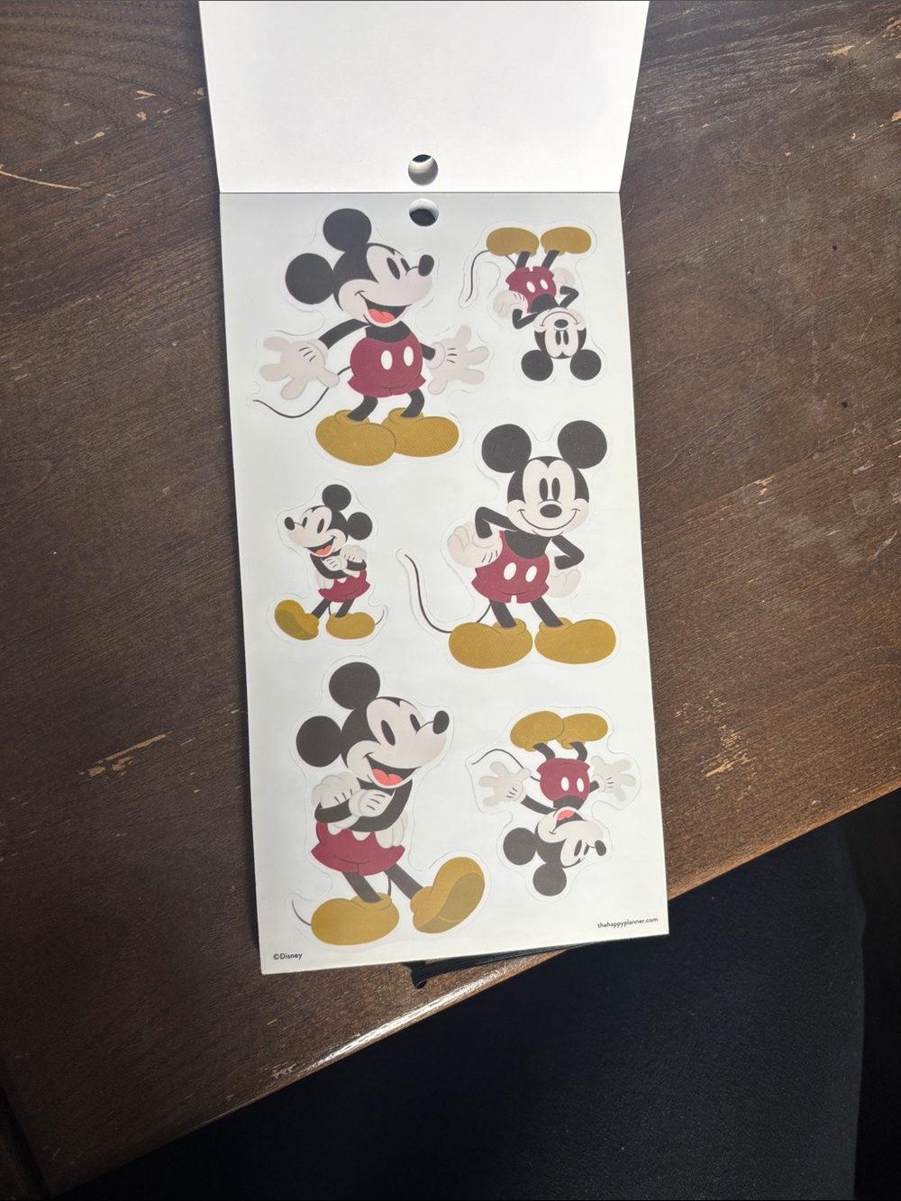 Disney Oasis Adventure Sticker Pack-The Happy Planner - Picture 4 of 6
